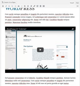 YouTube Video im WordPress-Editor